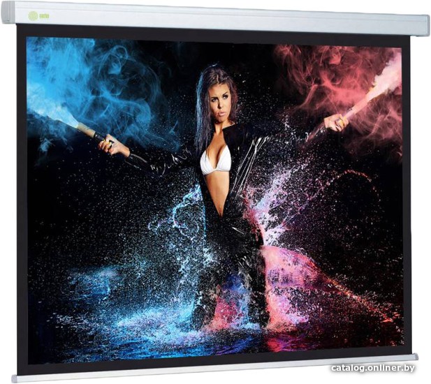 Проекционный экран CACTUS Wallscreen CS-PSW-168x299 - фото1