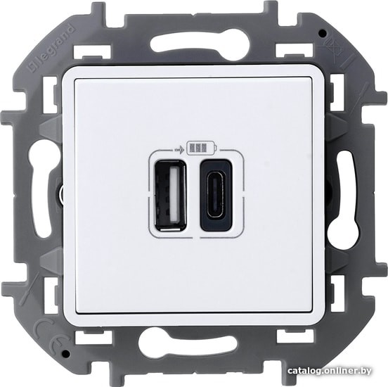 Розетка USB Legrand Inspiria 673760 - фото1