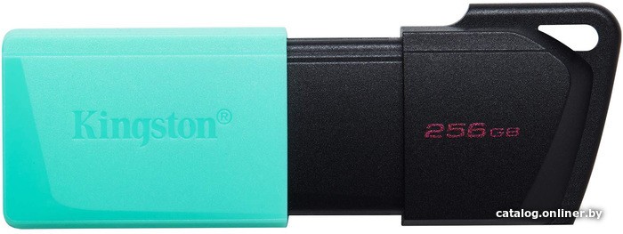 USB Flash Kingston DataTraveler Exodia M 256GB - фото1