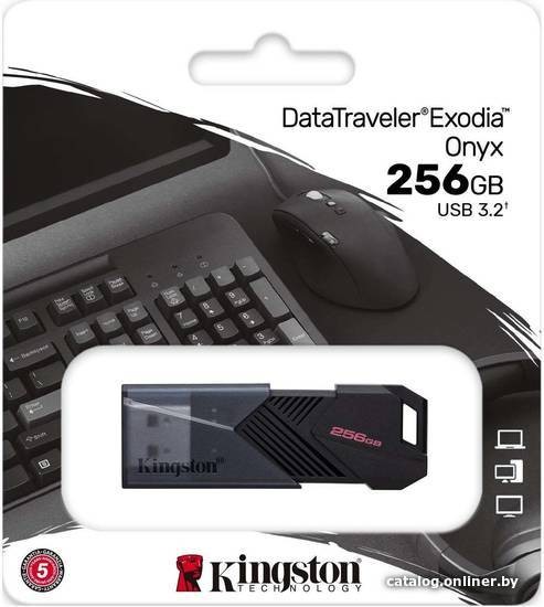 USB Flash Kingston DataTraveler Exodia Onyx 256GB - фото2